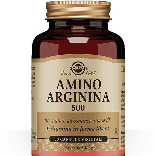 Amino Arginina 500