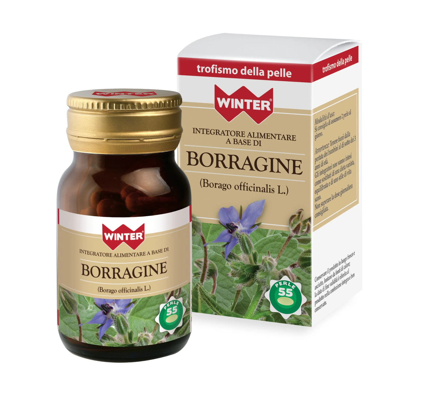 Borragine