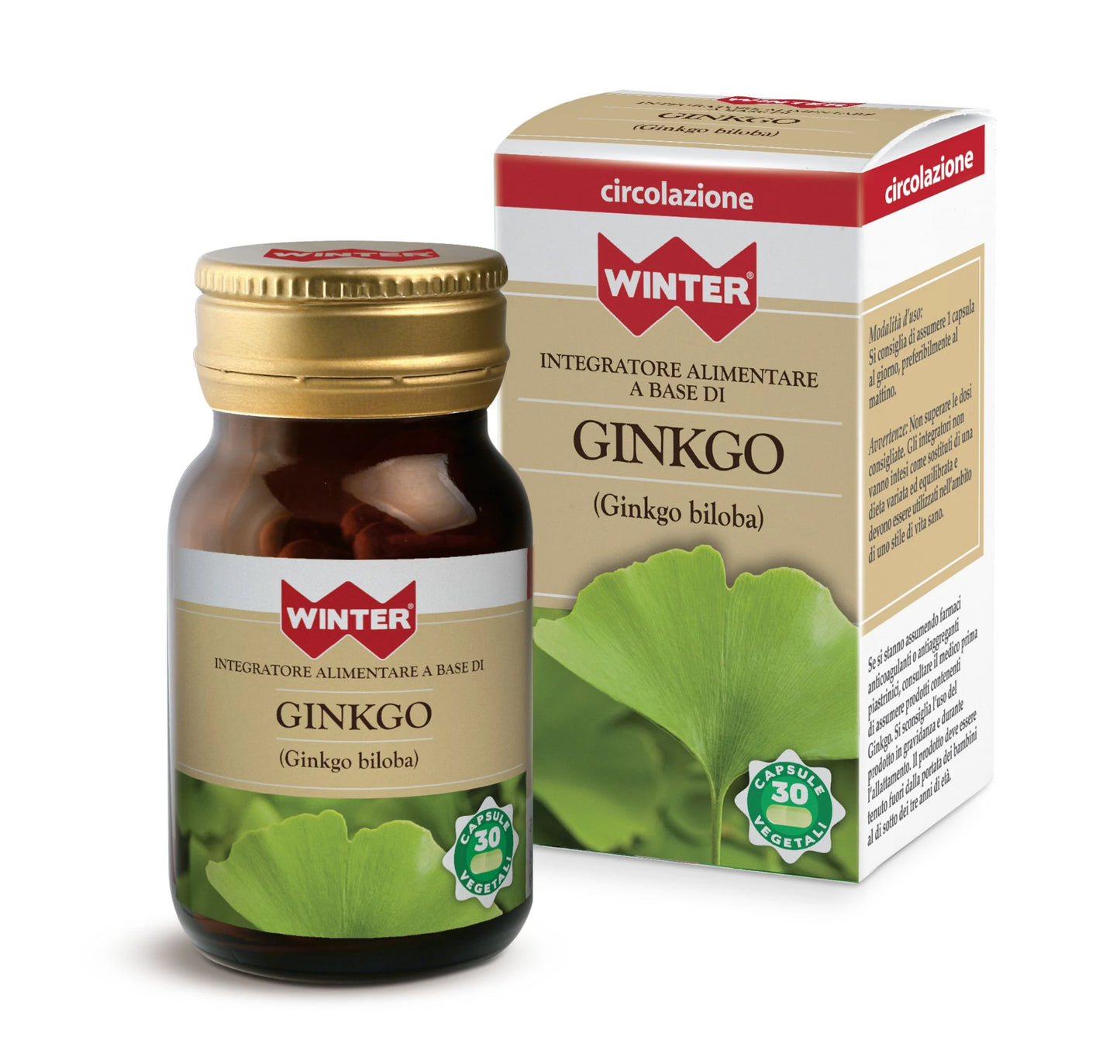 Gingko Biloba