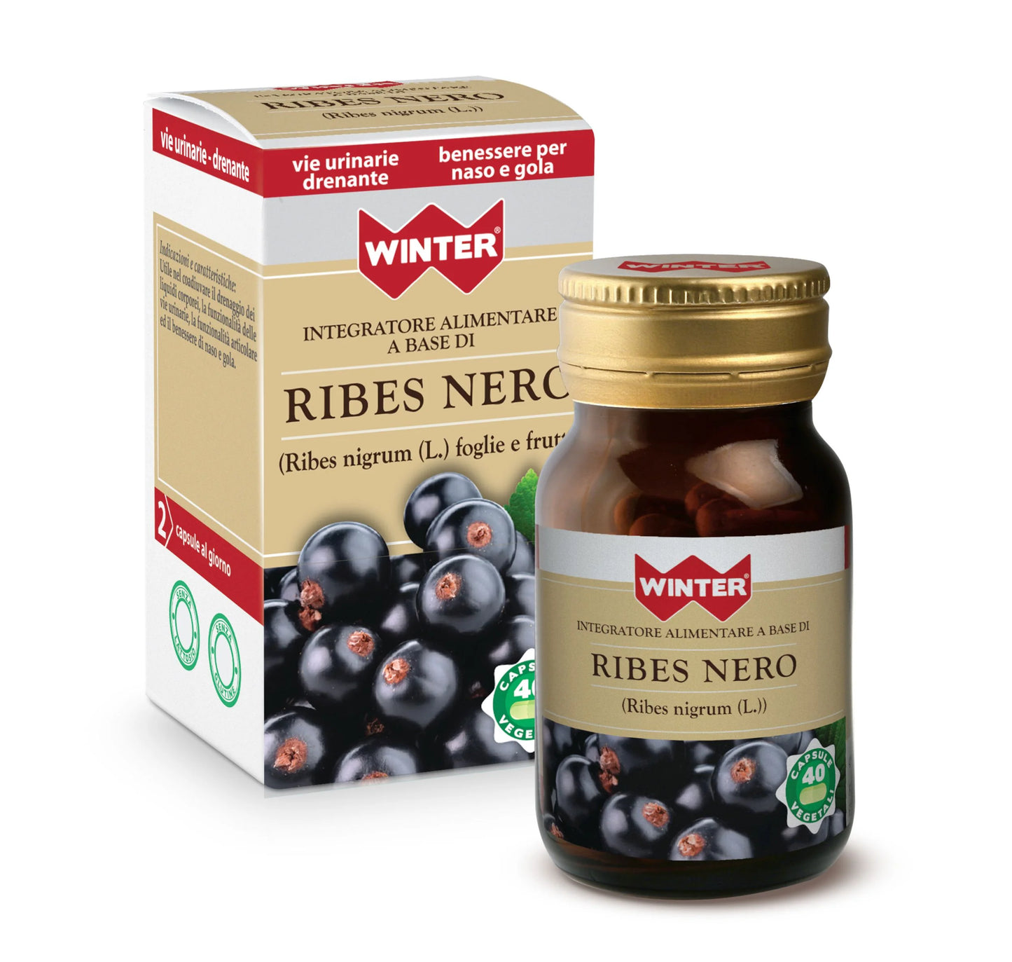 Ribes Nero