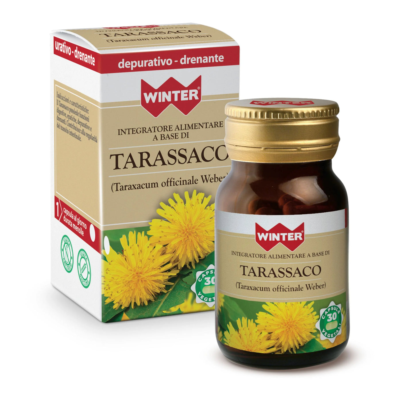 Tarassaco