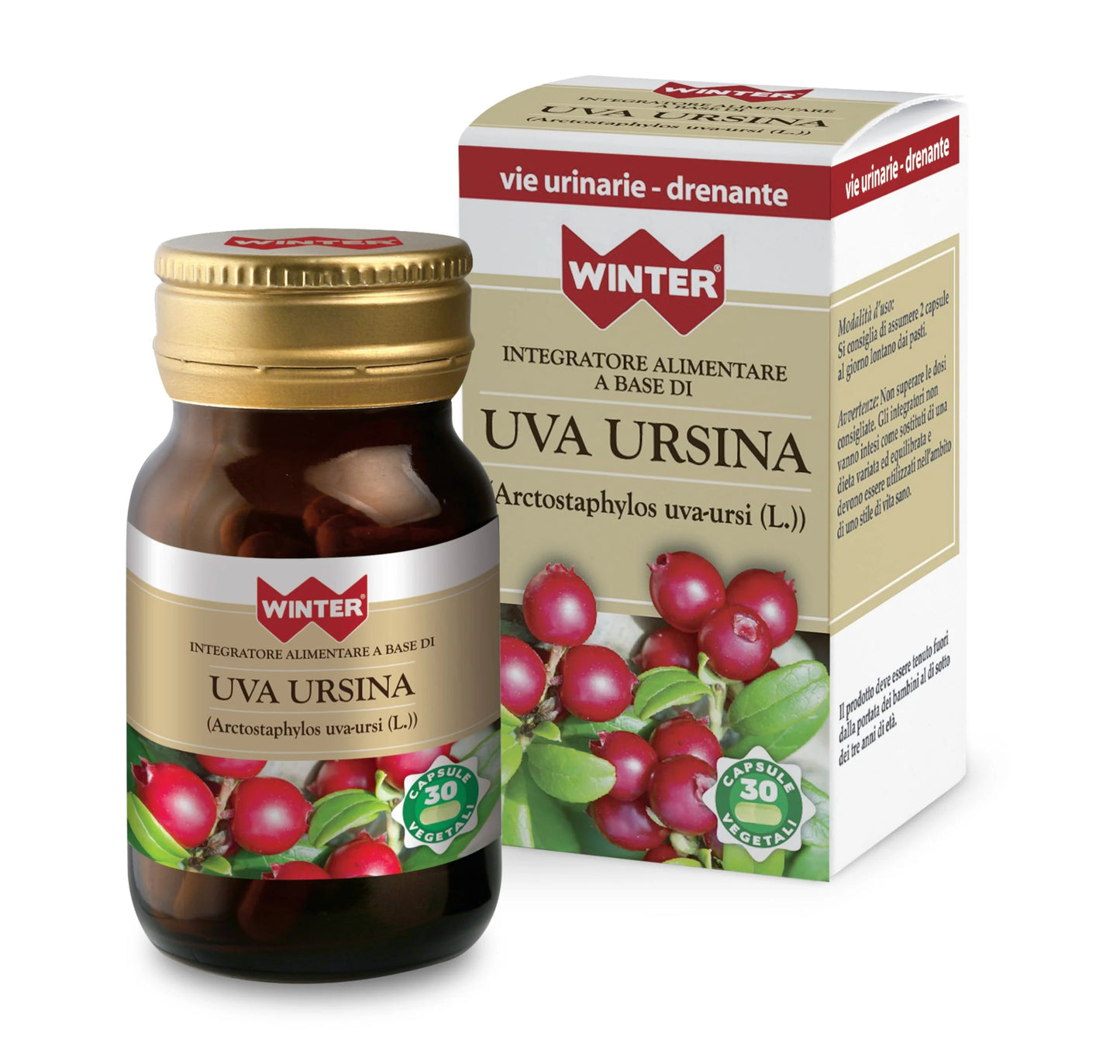 Uva Ursina