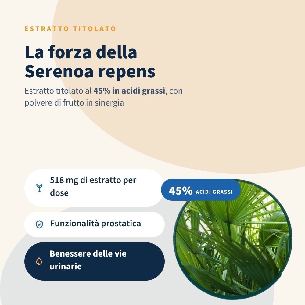 Serenoa Repens  (Saw Palmetto) 120 Capsule da 460 mg. La Serenoa Repens favorisce la funzionalità della prostata e il benessere delle vie urinarie.