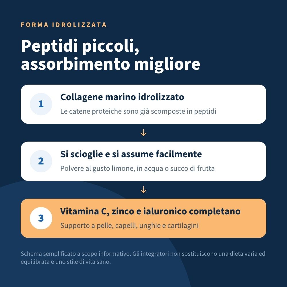 Italian Mood - Collagenic Plus 300gr, Collagene Marino idrolizzato, acido Ialuronico Vitamina C e Zinco. Al favoloso gusto Limone