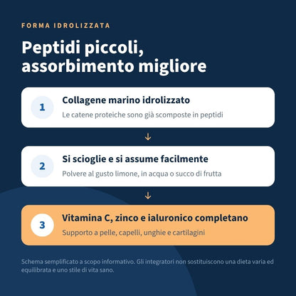 Italian Mood - Collagenic Plus 300gr, Collagene Marino idrolizzato, acido Ialuronico Vitamina C e Zinco. Al favoloso gusto Limone