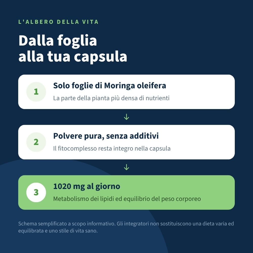 Moringa Oleifera Lam. 120 Capsule,Questo integratore supporta il benessere generale grazie al suo profilo nutrizionale completo
