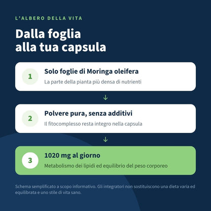 Moringa Oleifera Lam. 120 Capsule,Questo integratore supporta il benessere generale grazie al suo profilo nutrizionale completo