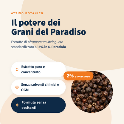 Italian Mood - 6-Paradol 60 Capsule, Controllo del peso corporeo con Aframomum Melegueta (Grani del Paradiso)
