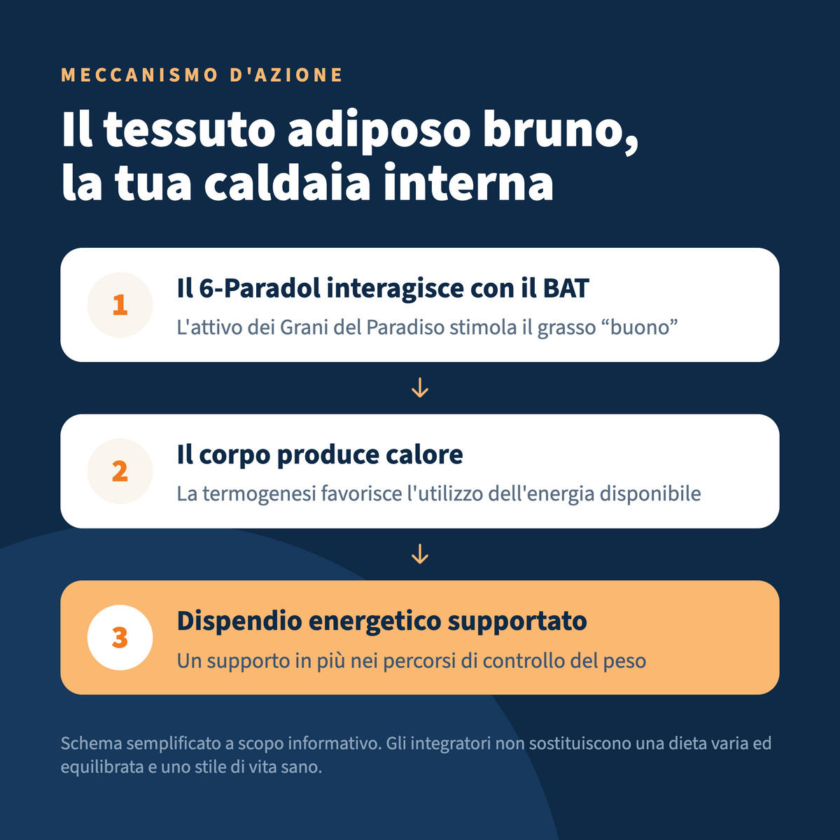 Italian Mood - 6-Paradol 60 Capsule, Controllo del peso corporeo con Aframomum Melegueta (Grani del Paradiso)