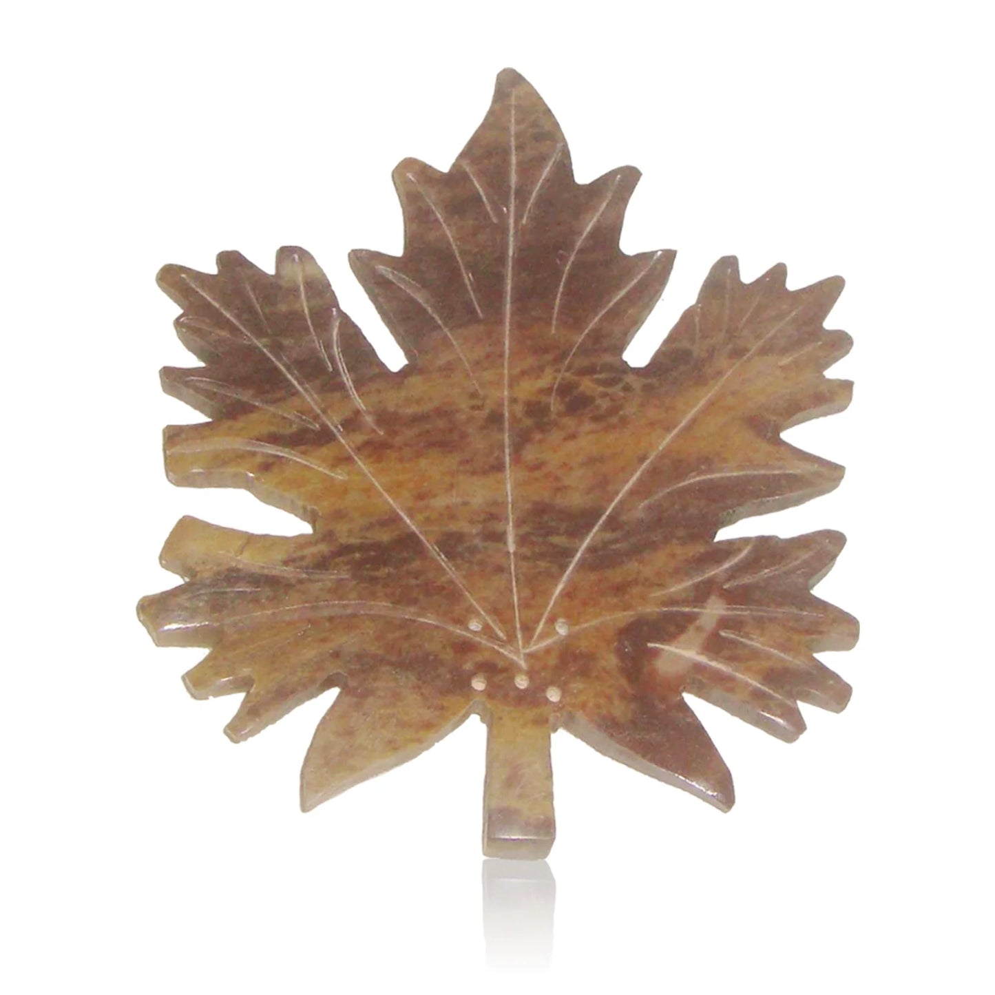 Himalaya - Portaincenso - Acer