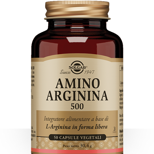 Amino Arginina 500