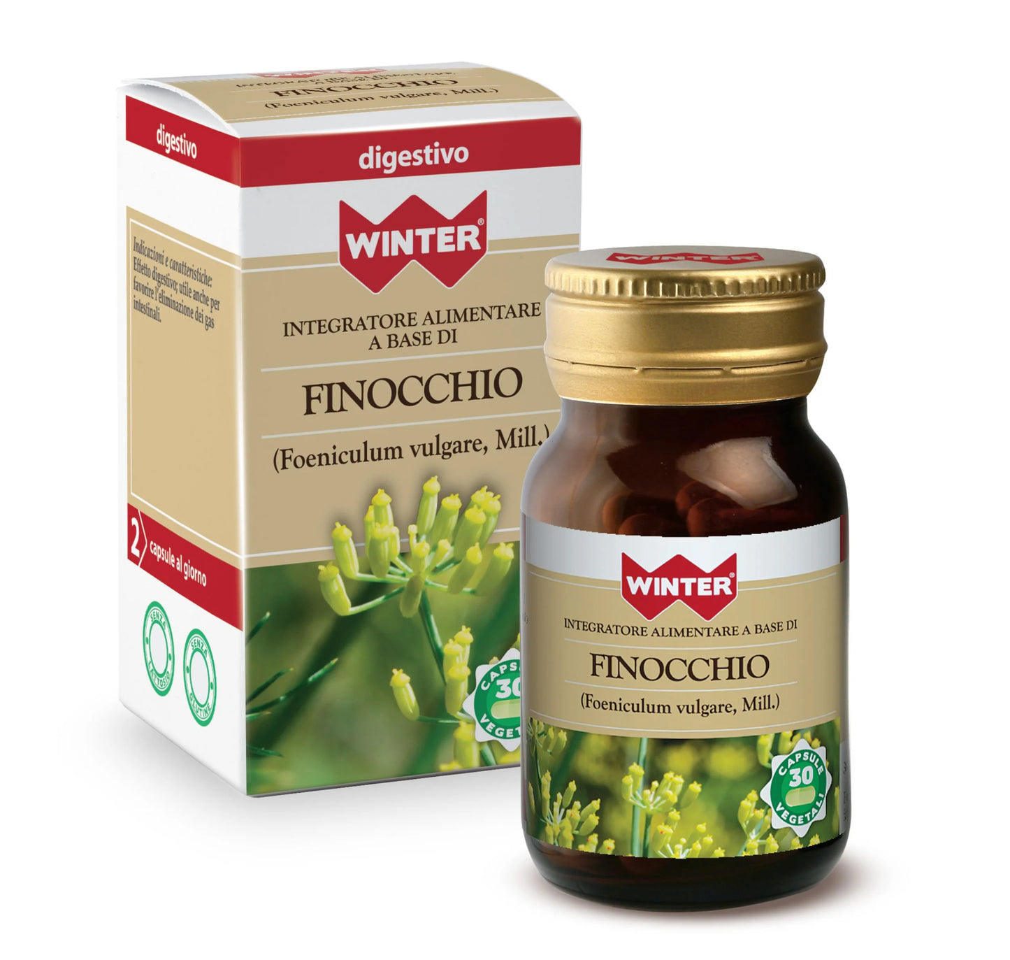 Finocchio
