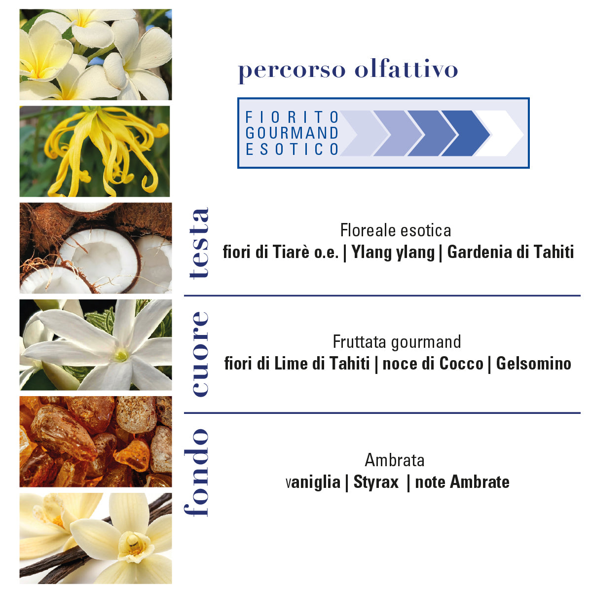 Helan - MONOÏ de TAHITI Monoi de Tahiti Eau de Toilette 10mL