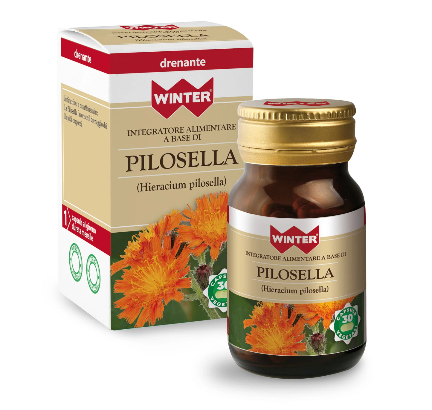 Pilosella